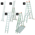 MONTO_Tribilo_Freist_1_01-17