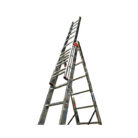 krause_rebrik_tribilo